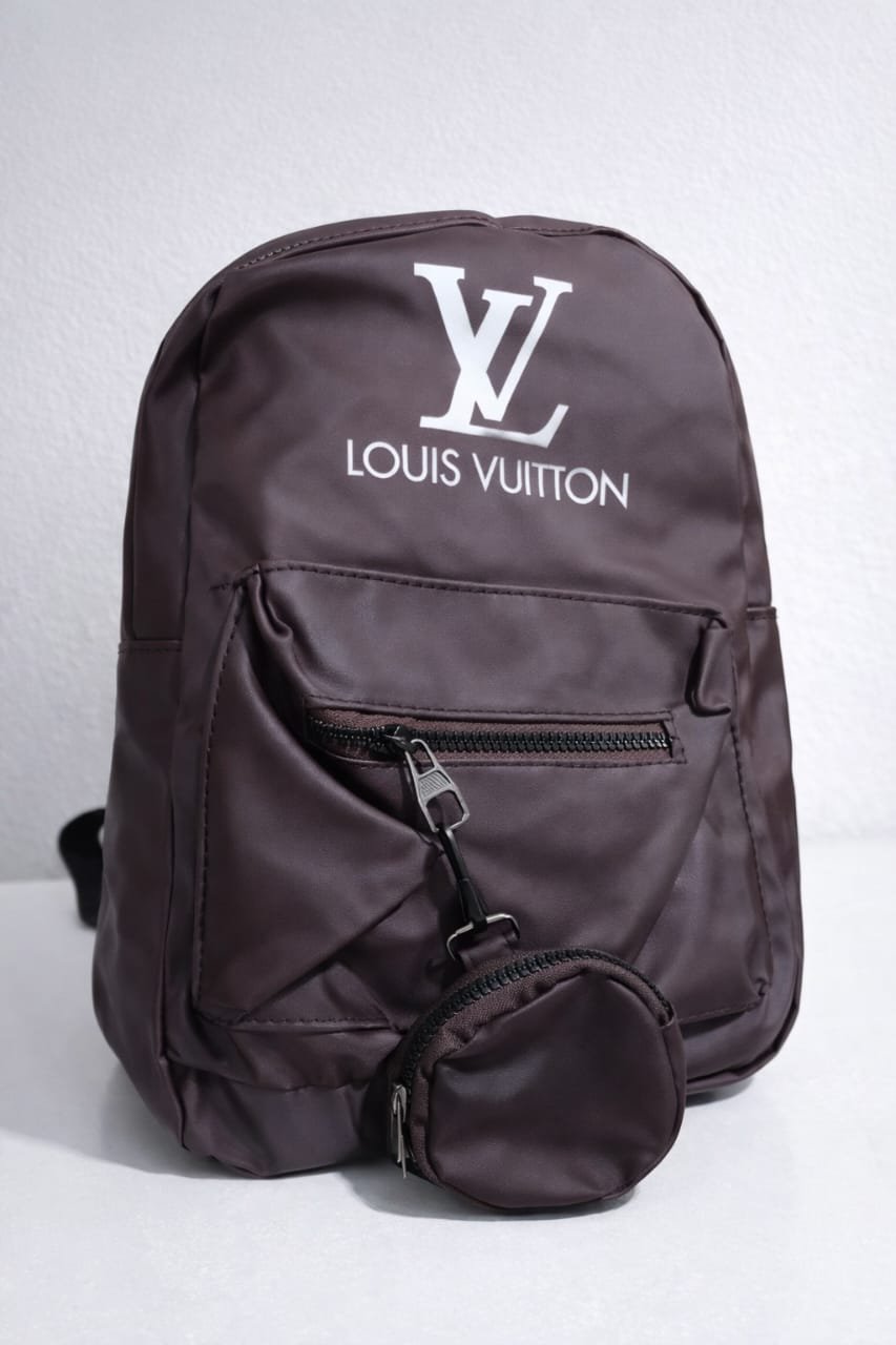 Louis Vuitton Back Bag